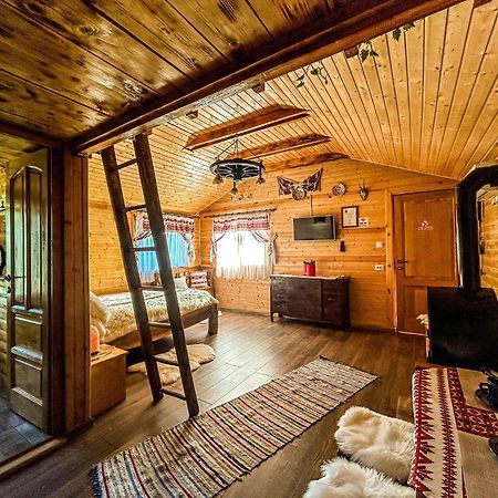 Chalets Du Bf Sighişoara Eksteriør billede