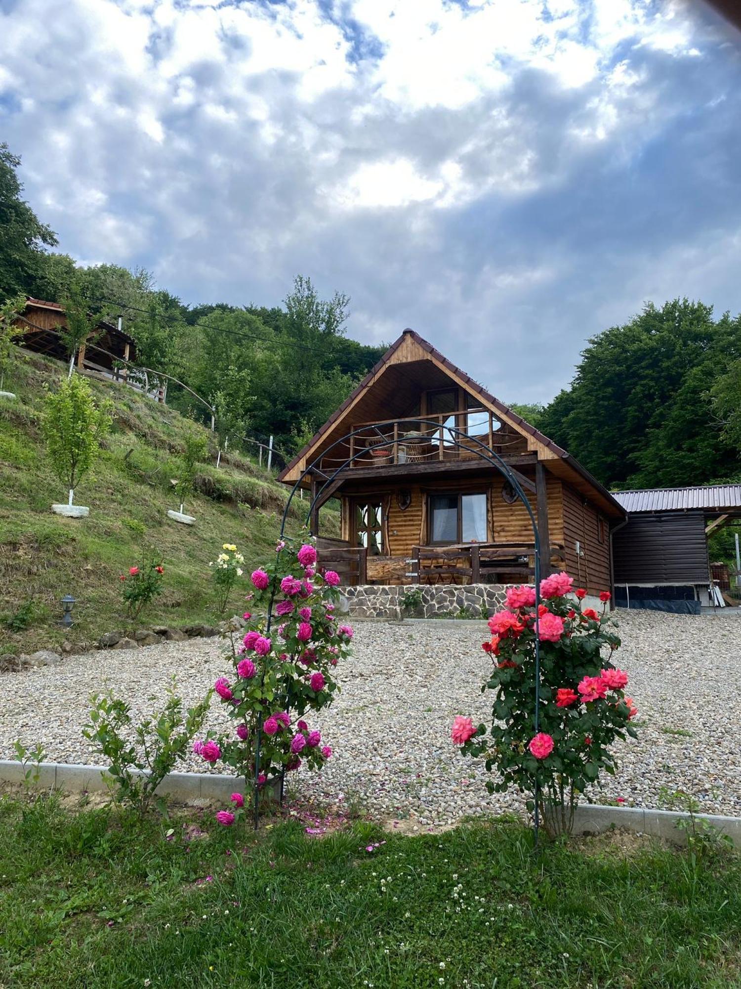 Chalets Du Bf Sighişoara Eksteriør billede